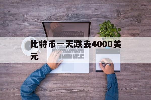 比特币一天跌去4000美元的简单介绍
