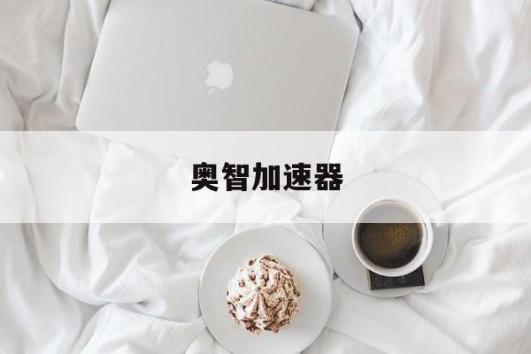奥智加速器：(蚂蚁加速npv下载)