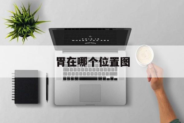 胃在哪个位置图：(胃在人体的哪个部位图解)