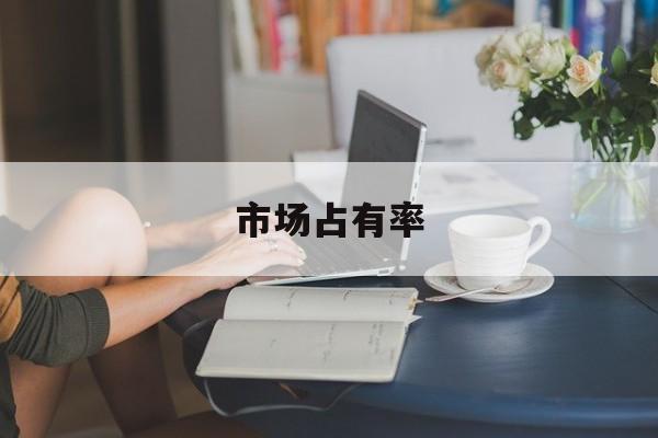 市场占有率：(竞争对手分析)